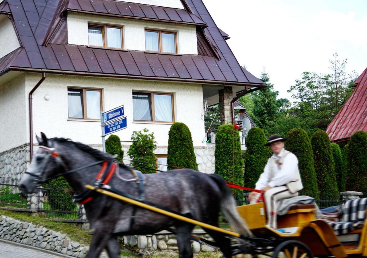Villa Olczanski Dom Zakopane